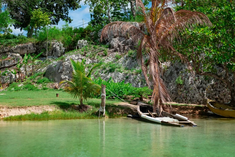 a boat on the bank of a body of water