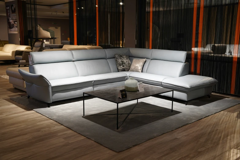 the sectional sofa is sitting on the floor