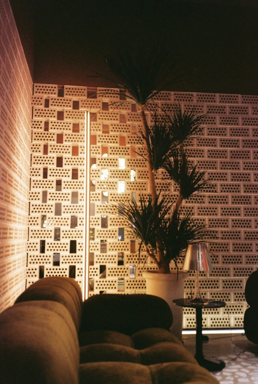 the living room wall has geometric tile, lights and a plant