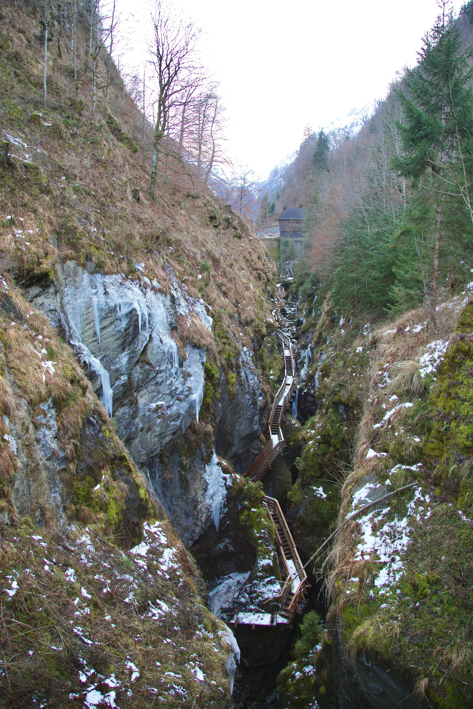 looking down at the creek below the bridge