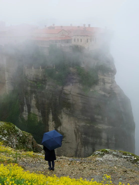 person holding blue umbrella standing on rock over cliff