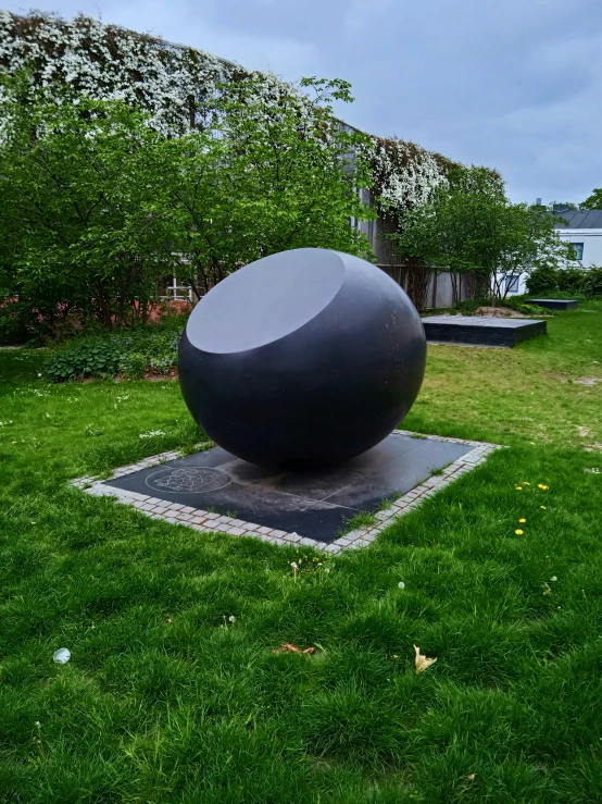 a large black ball and some grass and bushes