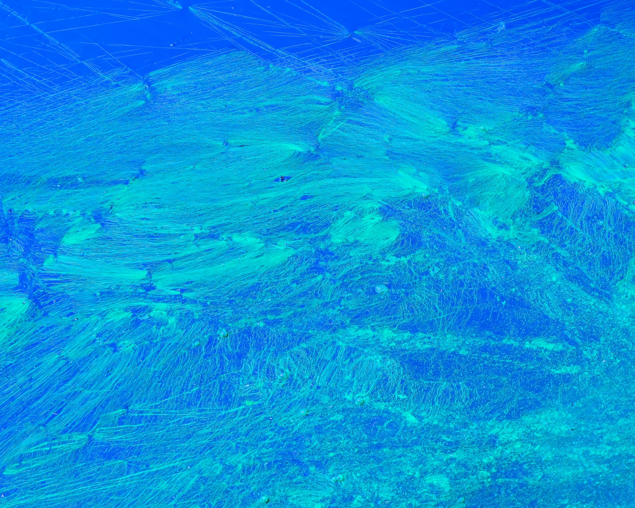 blue water with green bubbles in it is seen from above