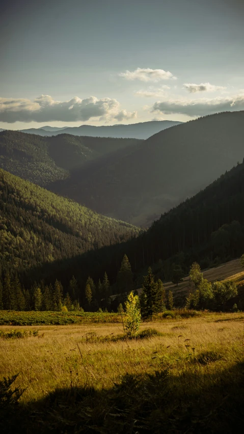 the sun shines brightly on a mountain landscape