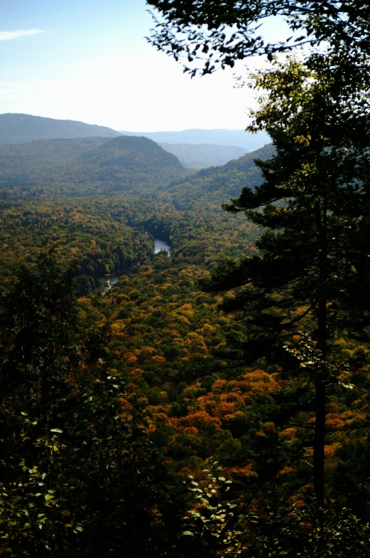 a view of mountains, trees and a lake surrounded by greenery