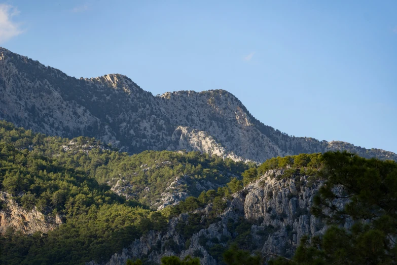 a rocky mountain side near many evergreen trees