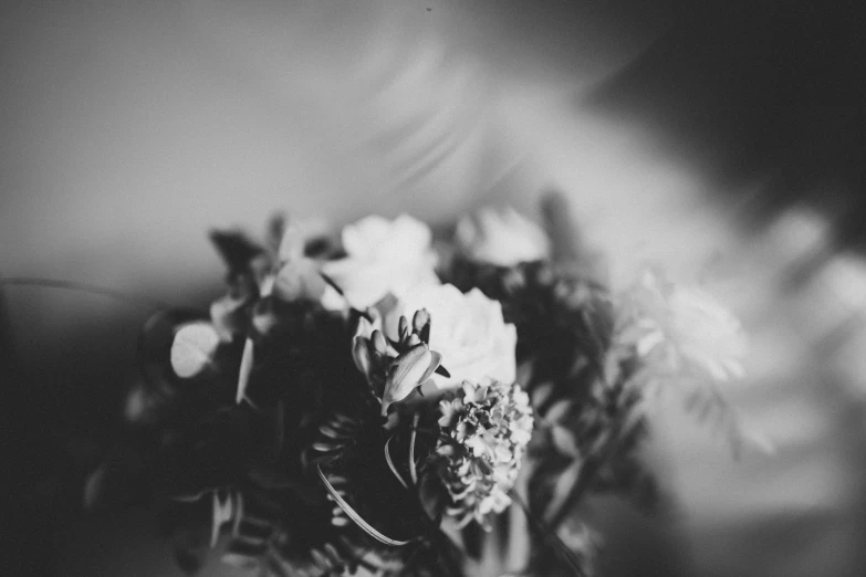 black and white image of flowers on a table