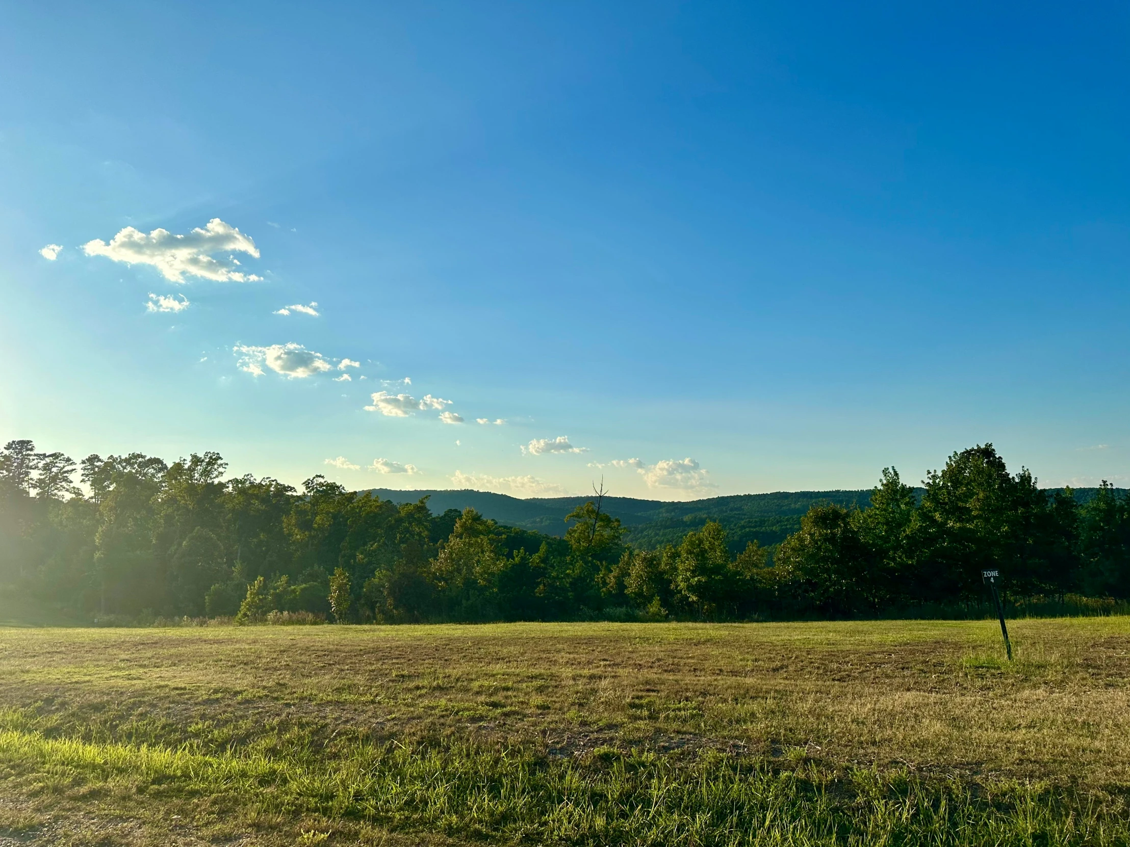 a grassy field with a sky background and trees