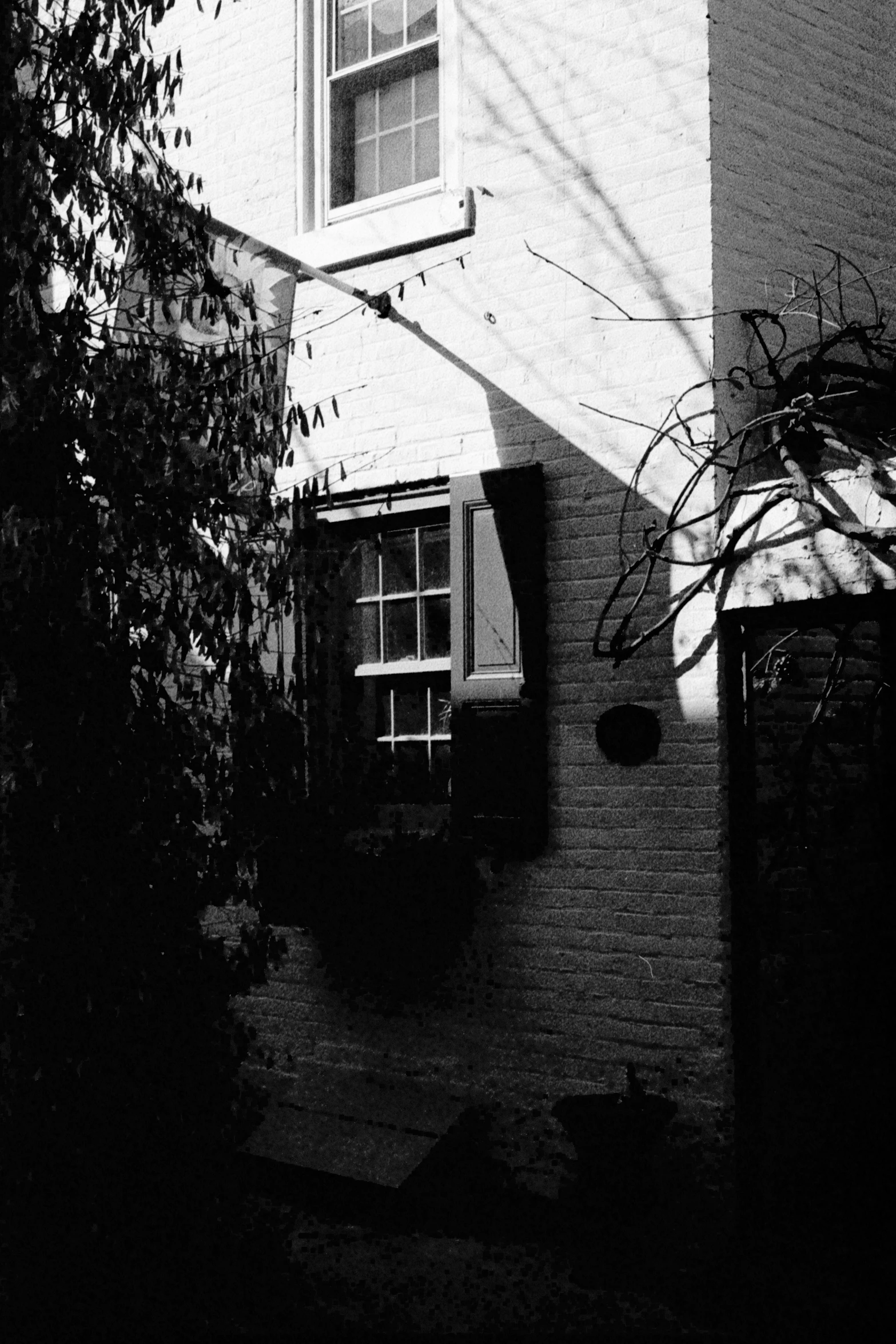 a tall white building sitting next to a tree