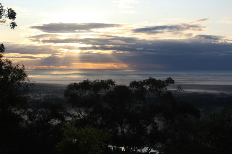 the sun breaks through clouds above the trees