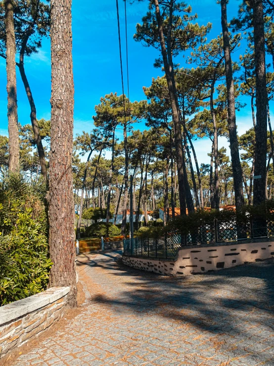 a group of benches with trees in the background