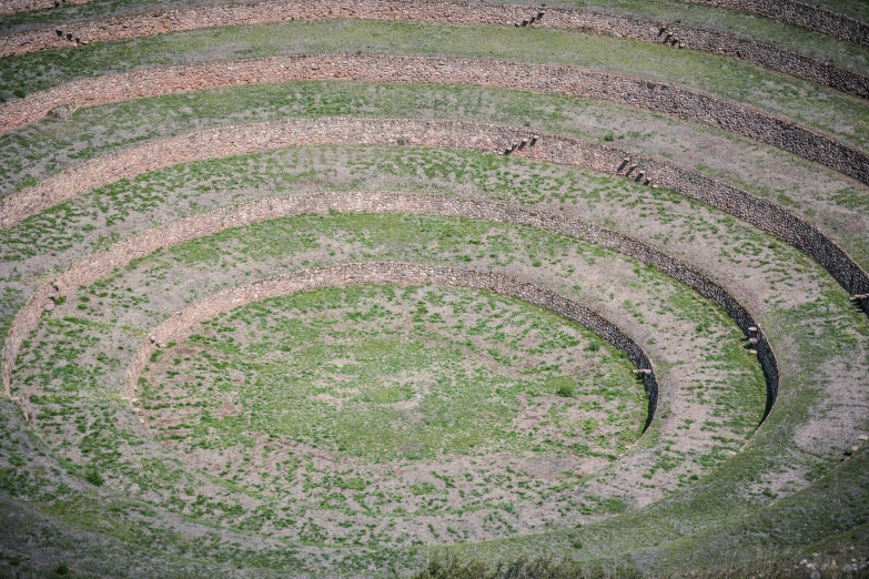 an overhead view of the grass in the middle of a spiral shaped structure