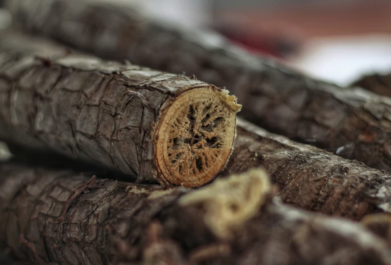 close up of some cut logs in the background