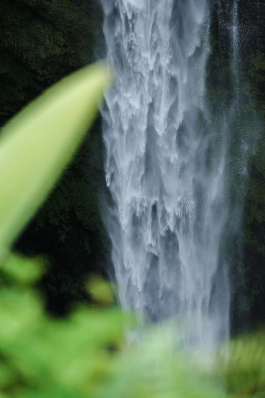 the waterfall is green and grey with green leaves