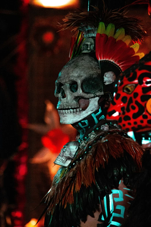 an artistic skeleton mask with feather and feathers on it