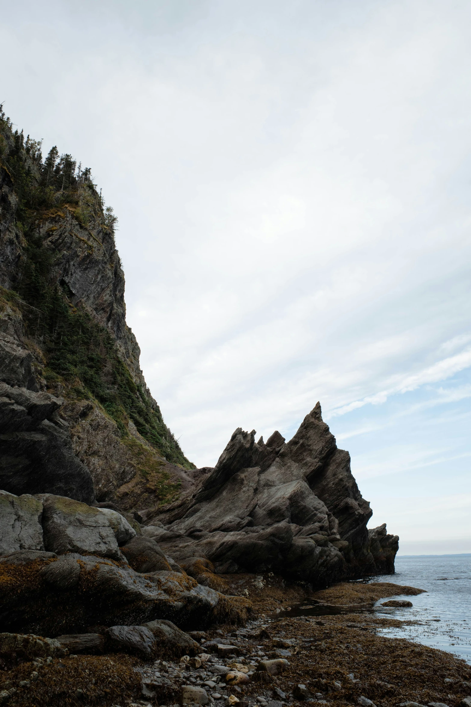 an ocean cliff near a rocky coastline