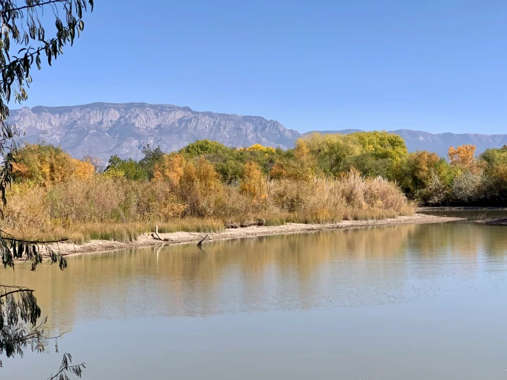 the water is calm and there are trees in the background