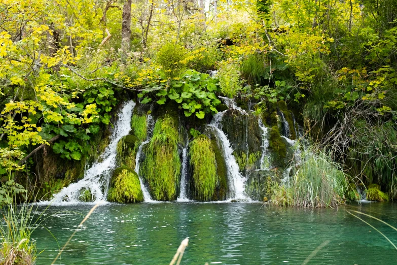 a waterfall that has many plants on top of it