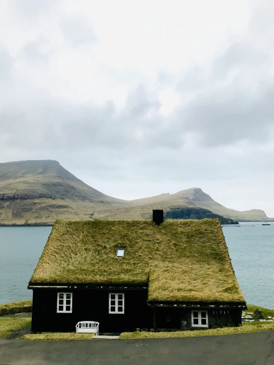 a home with a thatched roof is on the shore