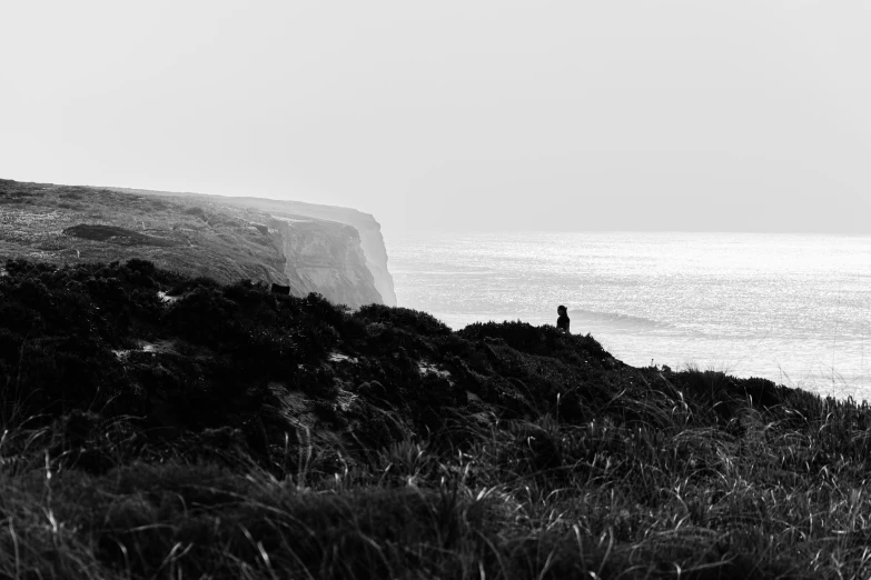 a lone man looks out towards the ocean