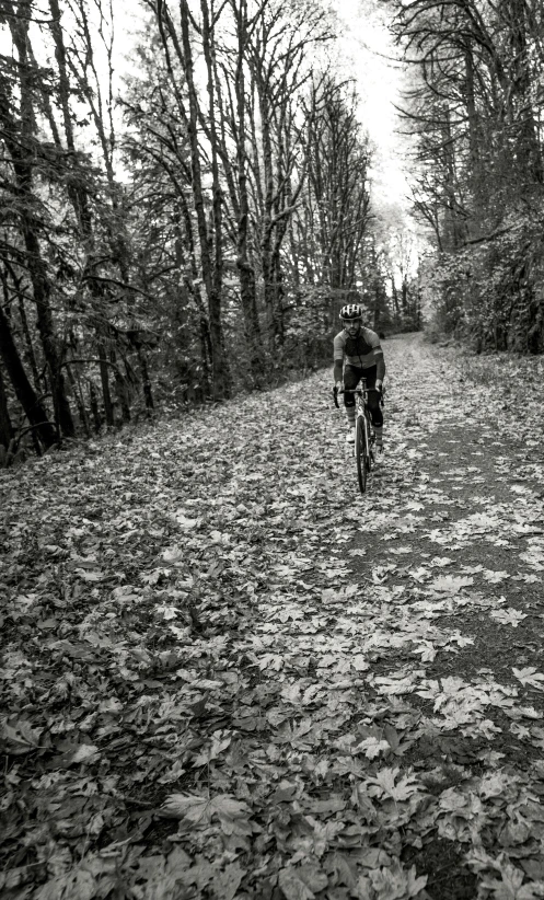 a man riding a bicycle on a forest path