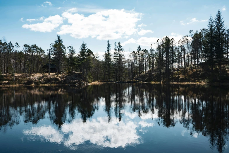 a lake near trees and clouds in the sky