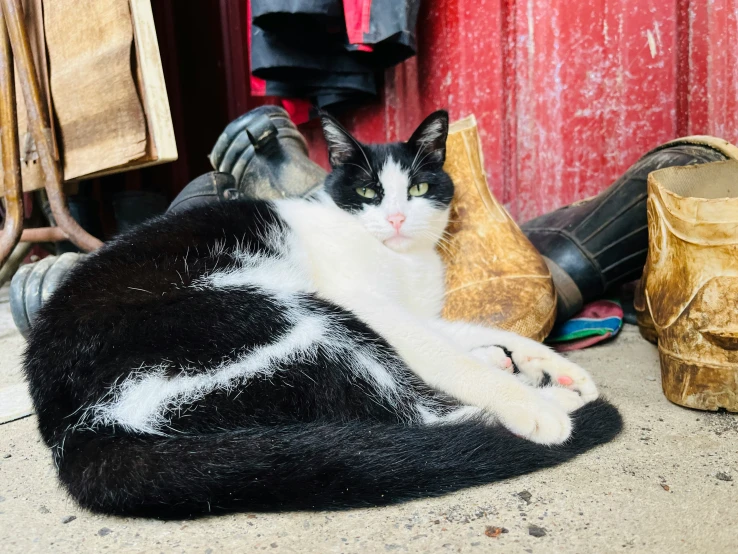 a cat sits on its side in a black and white blanket