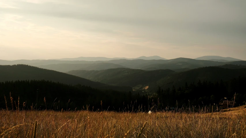 a field that has some trees and some mountains