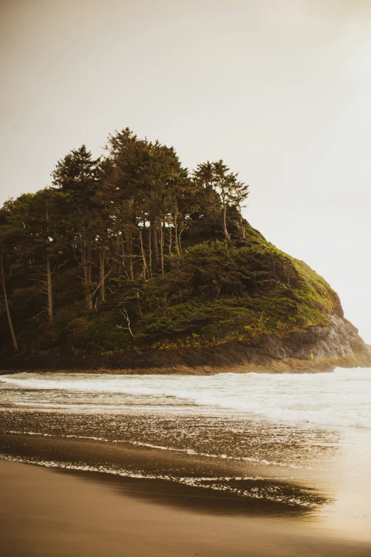 there are a few trees on a large hill