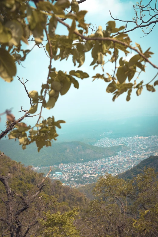 the view over a valley is seen through the nches