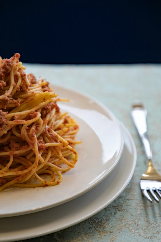 some pasta is sitting on a plate with a fork