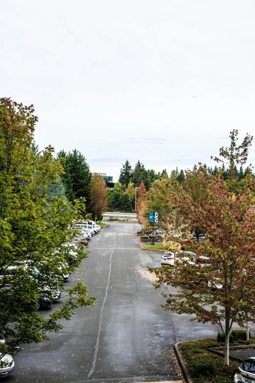 cars parked along the side of the road