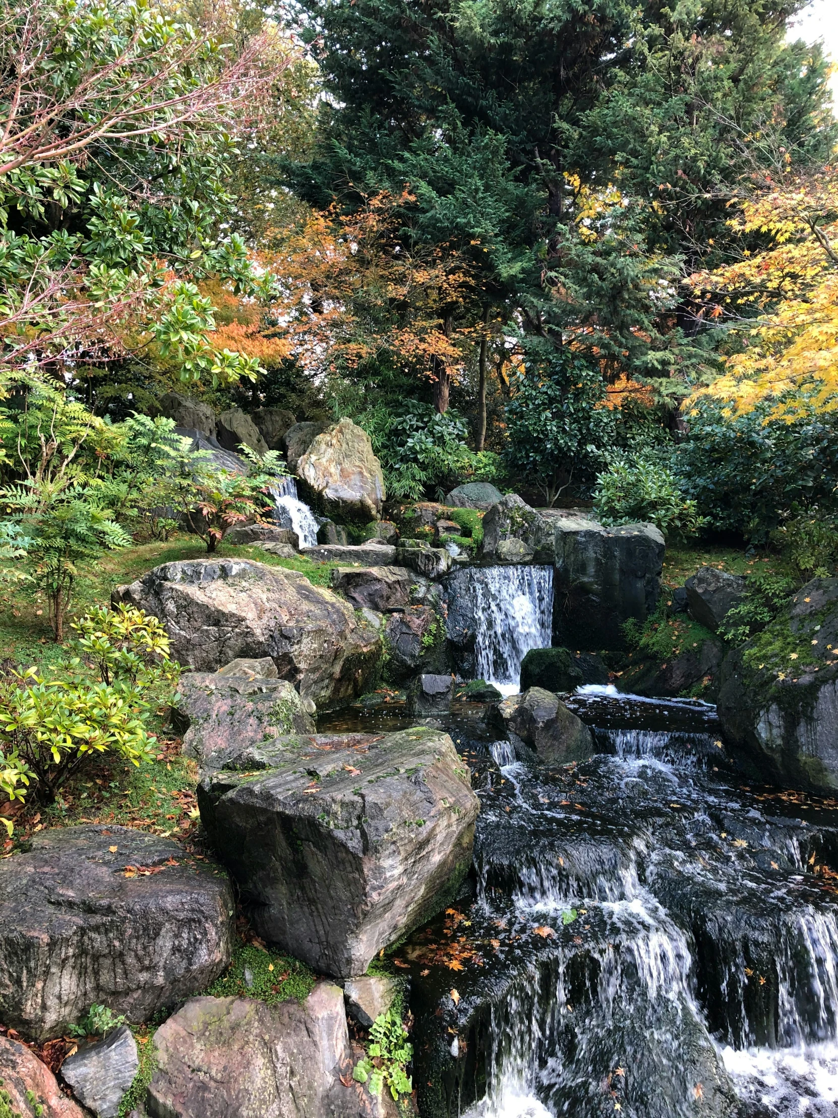 a waterfall is shown near rocks and trees