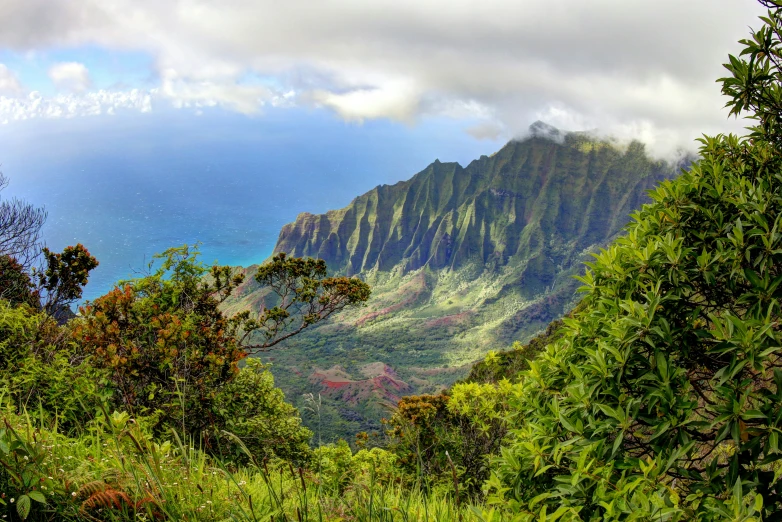 mountains in the distance behind trees and bushes