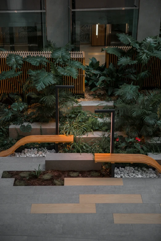 two wooden benches that are sitting in front of trees