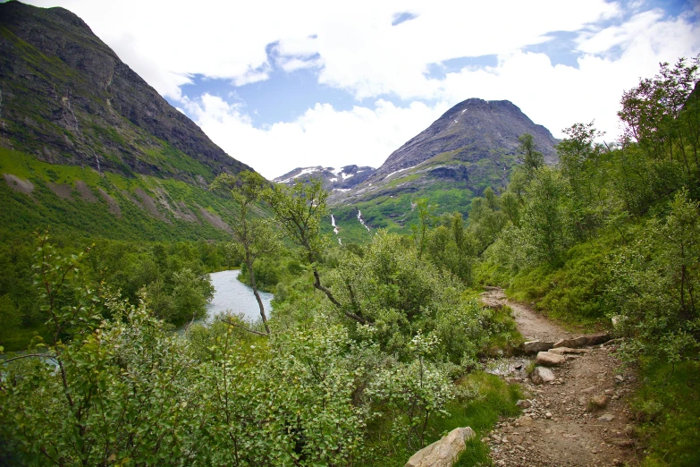 a dirt trail is surrounded by green grass