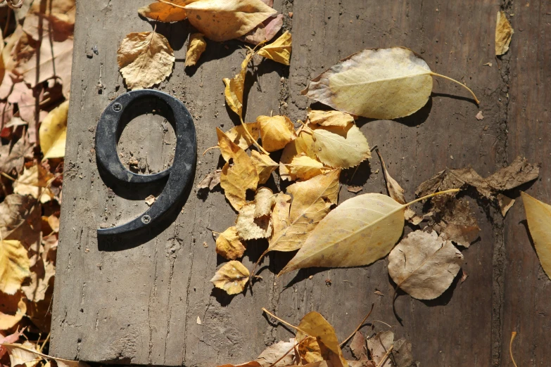 a piece of wood with an old metal object on top of it