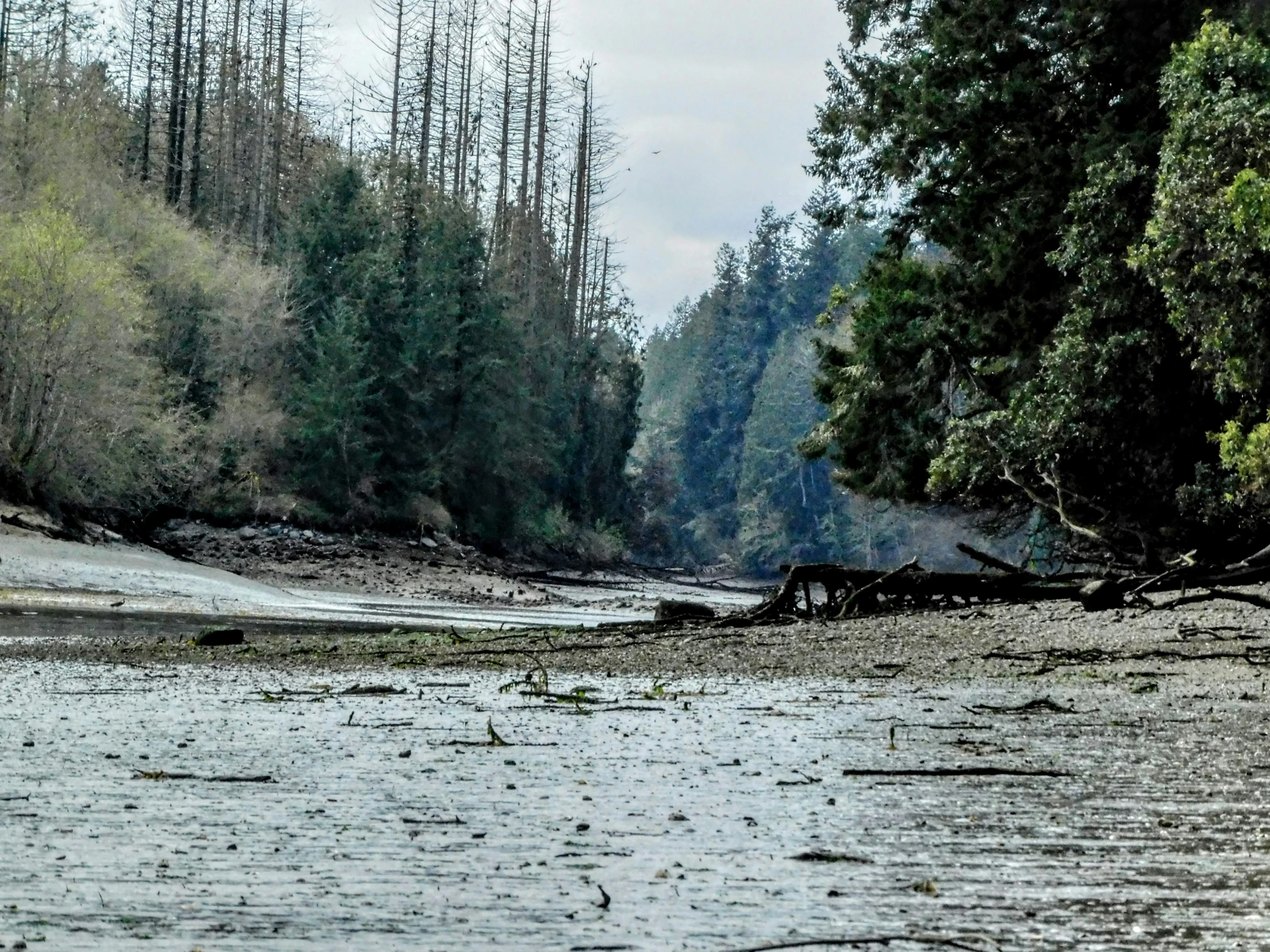 a man is standing in the middle of a river