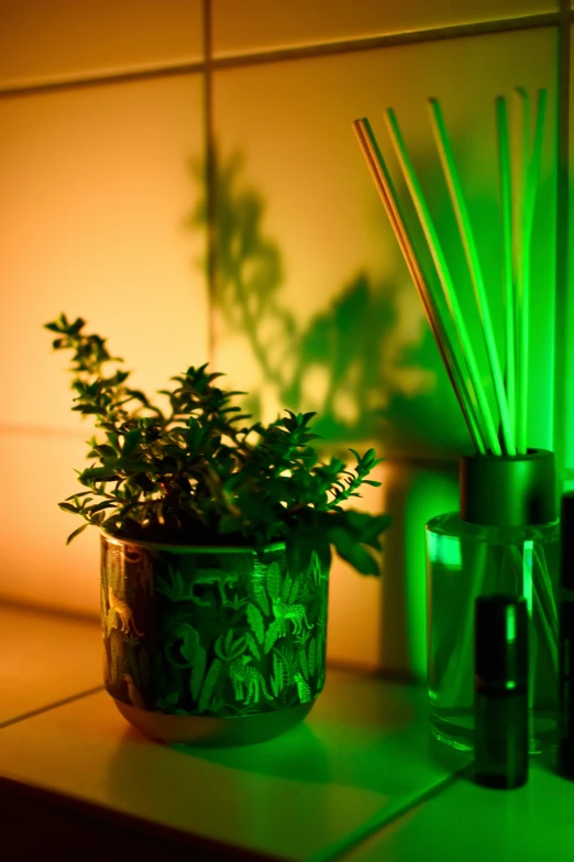 a small potted plant next to an empty glass of liquor