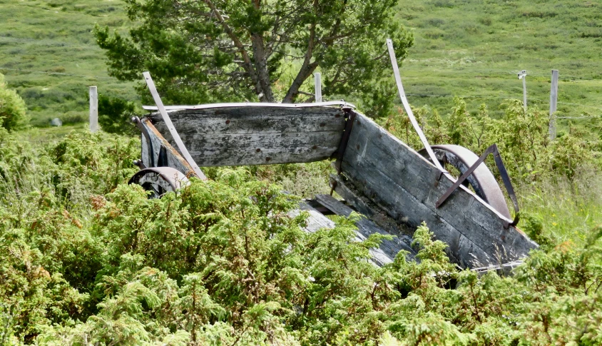 a piece of furniture sits in some bushes