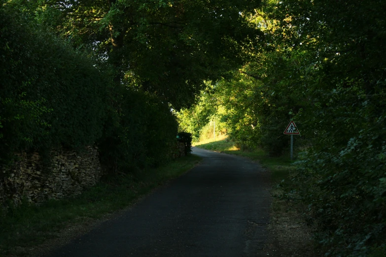 a street that is very narrow and has many trees around