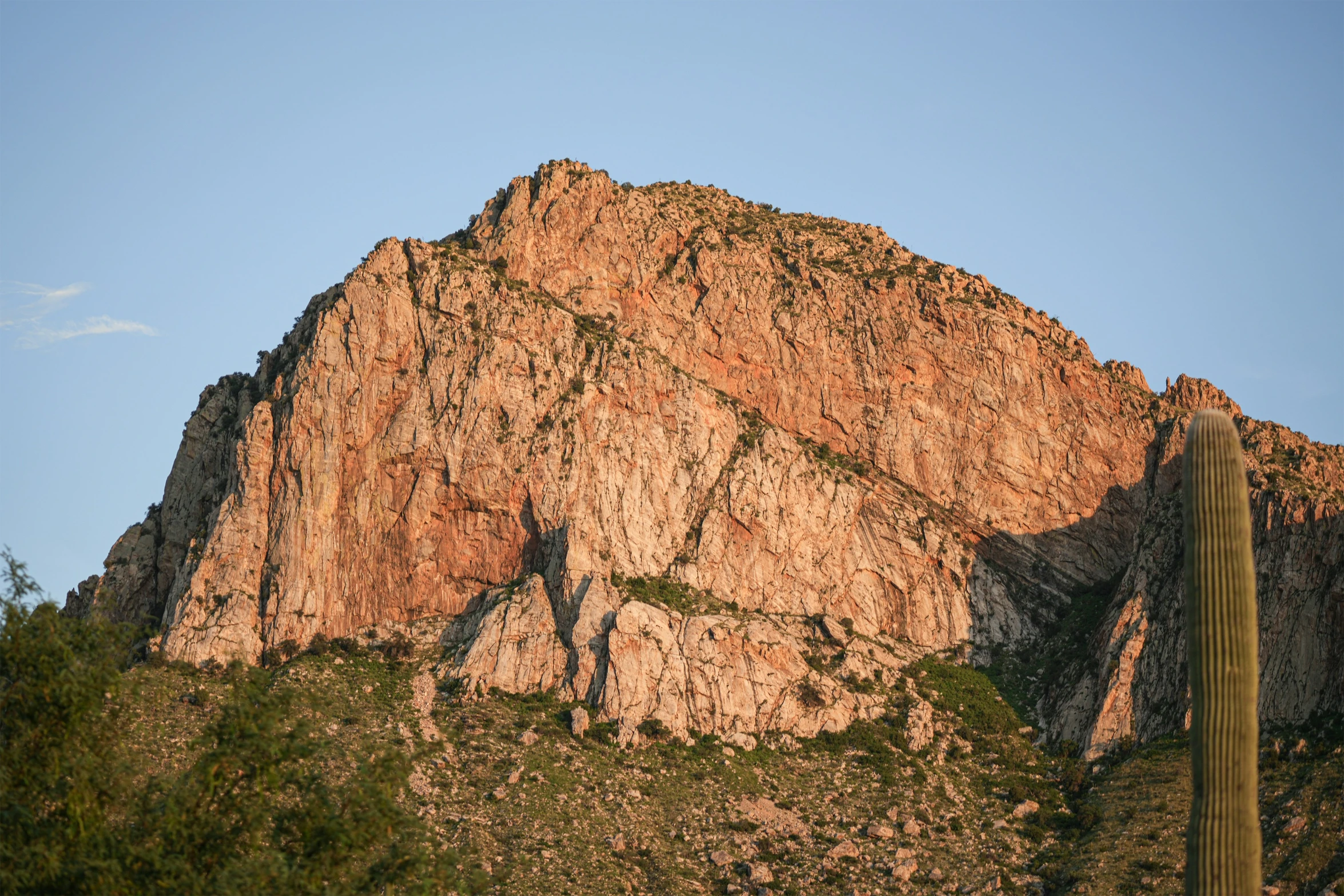 a large mountain is next to a cactus