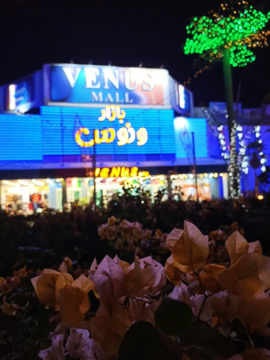 flowers in front of a building lit up at night