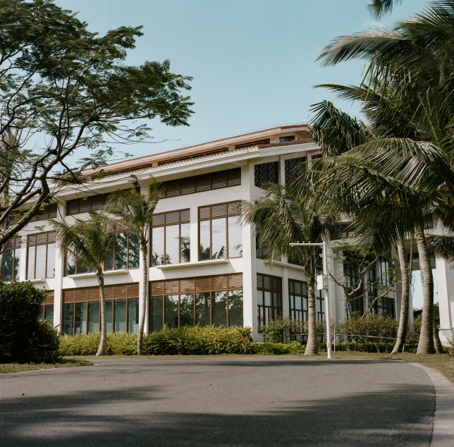 a white house surrounded by palm trees and lush greenery