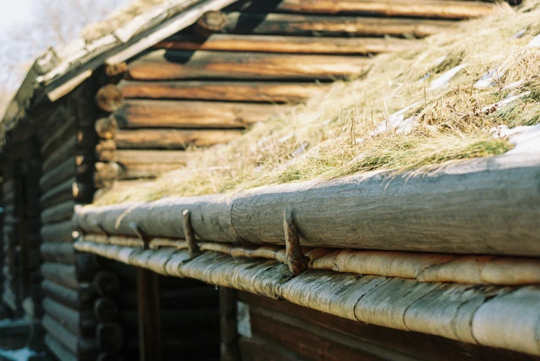 the roof of a wooden structure with grass growing on it