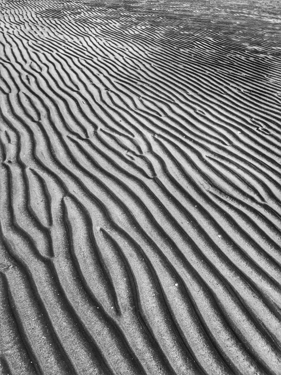 patterns made by wind and sand create a wavy pattern in the desert