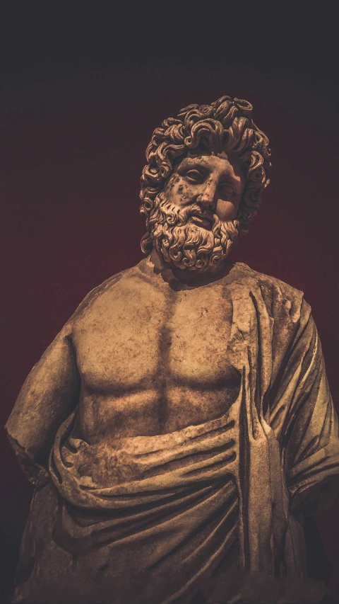 the bust of a roman man with curly hair