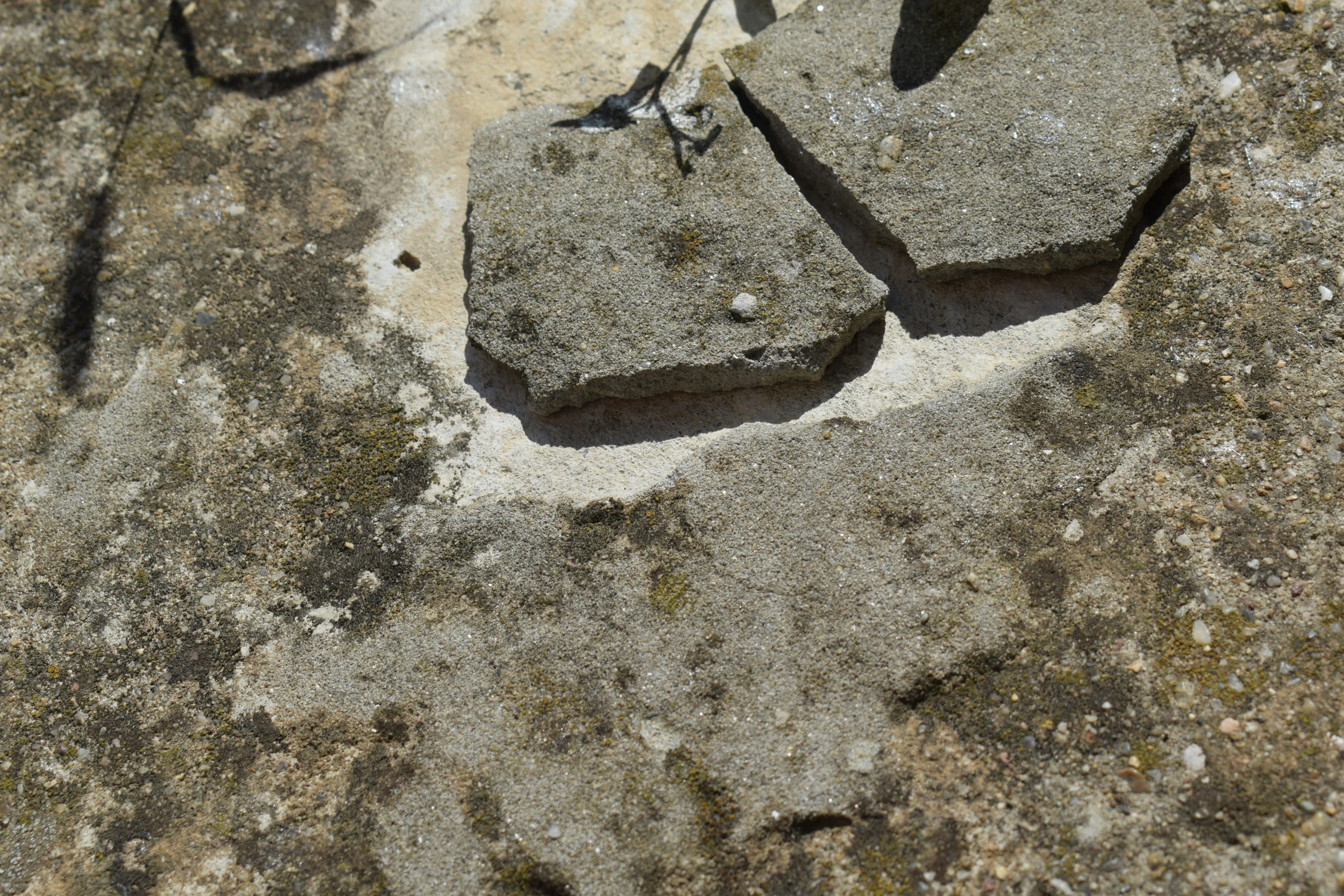 a bird perches on top of two stone blocks