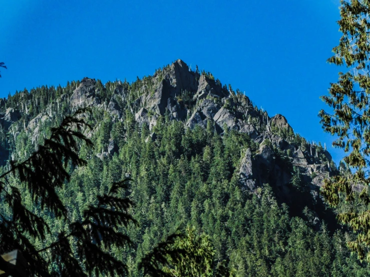 a view of some big mountains near some trees