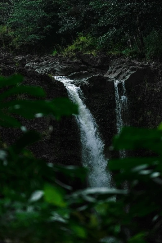 the view of a waterfall from below of trees